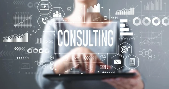 The Ultimate Guide to Management Consulting for Small Business Growth